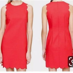 J.Crew scalloped shift dress sz 6